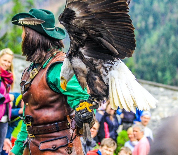 Greifvogel Show in Werfen © Sabrina Wendl on Unsplash