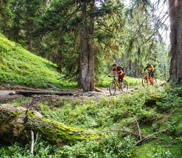 Mountainbike Tour © SalzburgerLand Tourismus I Tom Son