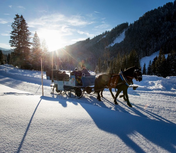 Pferdeschlittenfahrt © Filzmoos Tourismus
