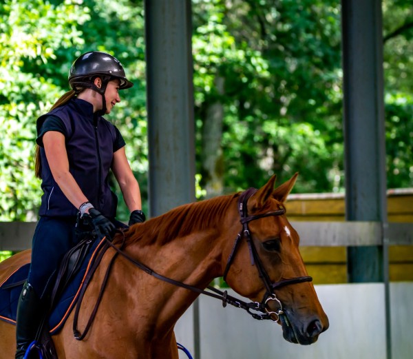 Reiten © Philippe Oursel on Unsplash